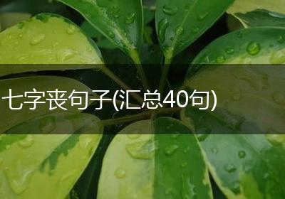 七字丧句子(汇总40句)