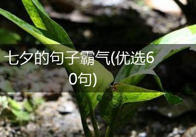 七夕的句子霸气(优选60句)