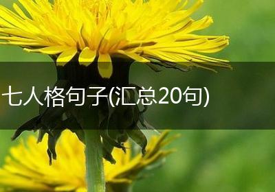 七人格句子(汇总20句)