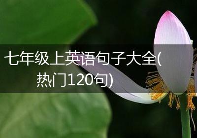 七年级上英语句子大全(热门120句)