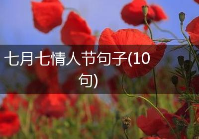 七月七情人节句子(10句)