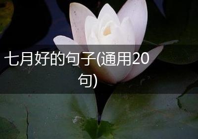 七月好的句子(通用20句)
