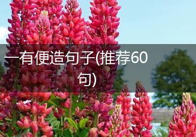 一有便造句子(推荐60句)