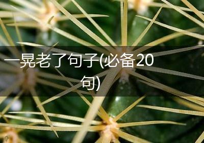 一晃老了句子(必备20句)