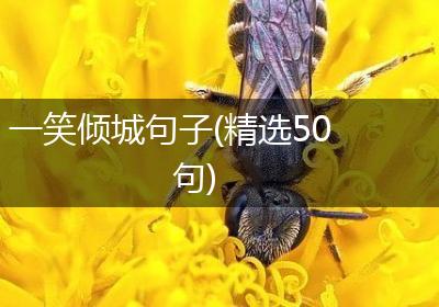 一笑倾城句子(精选50句)