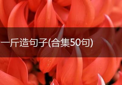 一斤造句子(合集50句)