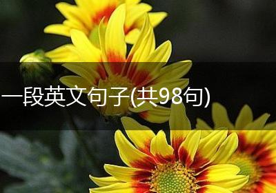 一段英文句子(共98句)