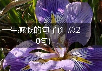 一生感慨的句子(汇总20句)