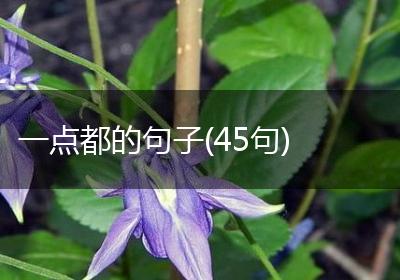 一点都的句子(45句)