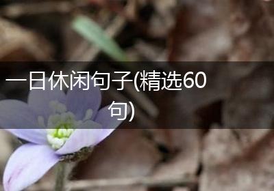 一日休闲句子(精选60句)