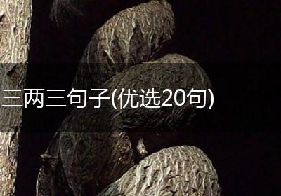 三两三句子(优选20句)