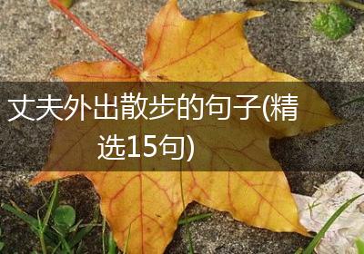丈夫外出散步的句子(精选15句)