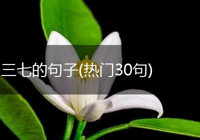 三七的句子(热门30句)