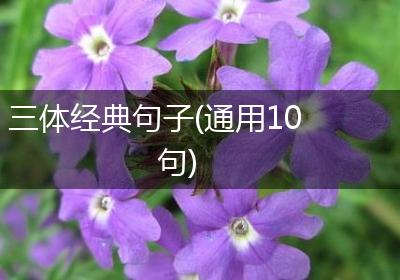 三体经典句子(通用10句)