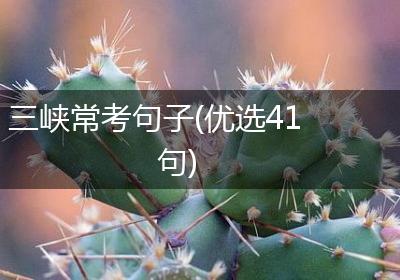 三峡常考句子(优选41句)