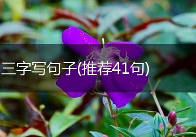 三字写句子(推荐41句)