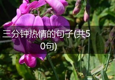 三分钟热情的句子(共50句)