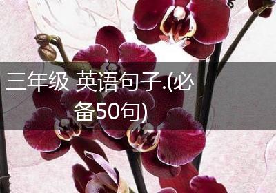 三年级 英语句子.(必备50句)