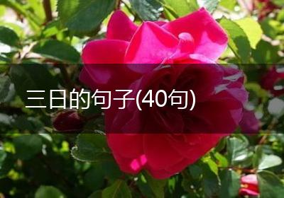 三日的句子(40句)