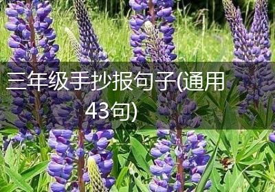 三年级手抄报句子(通用43句)