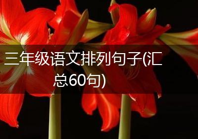 三年级语文排列句子(汇总60句)