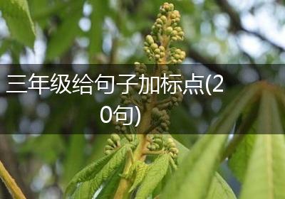 三年级给句子加标点(20句)