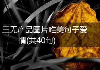三无产品图片唯美句子爱情(共40句)