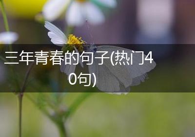 三年青春的句子(热门40句)