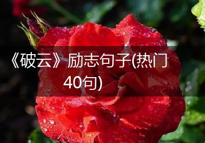 《破云》励志句子(热门40句)
