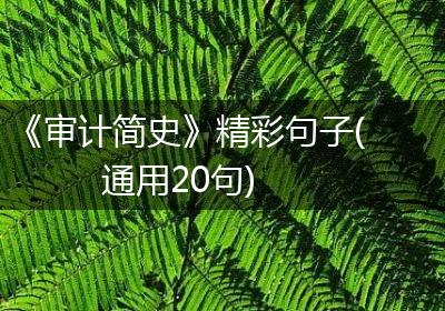 《审计简史》精彩句子(通用20句)