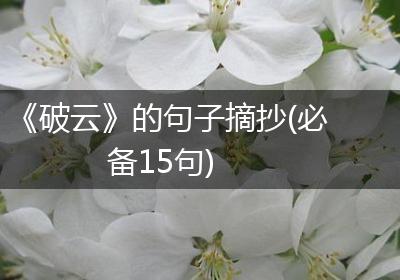 《破云》的句子摘抄(必备15句)