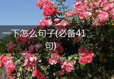 一下怎么句子(必备41句)