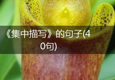 《集中描写》的句子(40句)
