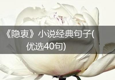 《隐衷》小说经典句子(优选40句)