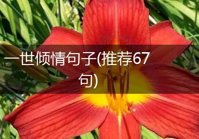 一世倾情句子(推荐67句)