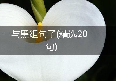 一与黑组句子(精选20句)