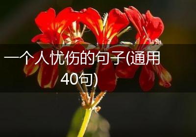 一个人忧伤的句子(通用40句)