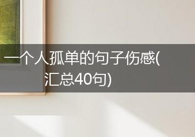 一个人孤单的句子伤感(汇总40句)