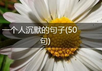 一个人沉默的句子(50句)