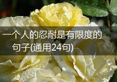 一个人的忍耐是有限度的句子(通用24句)