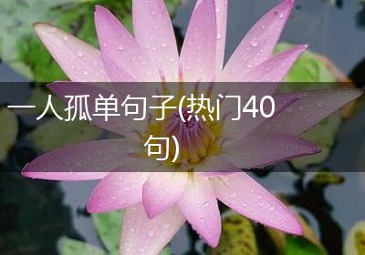 一人孤单句子(热门40句)