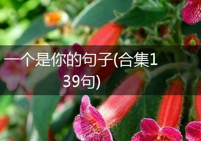 一个是你的句子(合集139句)