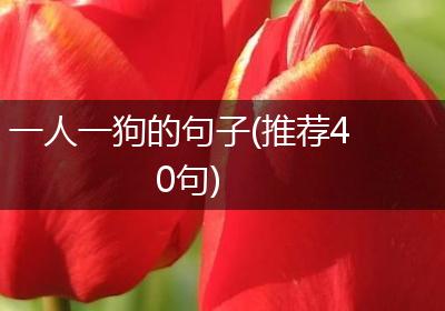 一人一狗的句子(推荐40句)
