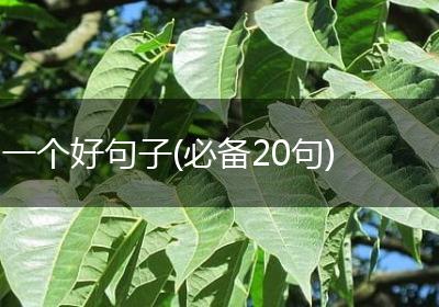 一个好句子(必备20句)
