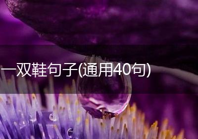 一双鞋句子(通用40句)