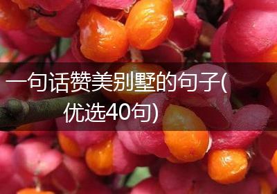 一句话赞美别墅的句子(优选40句)