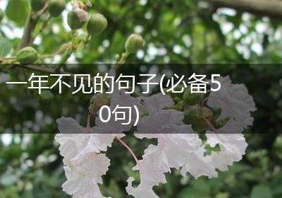 一年不见的句子(必备50句)