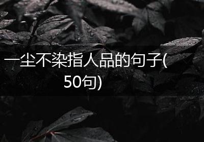 一尘不染指人品的句子(50句)