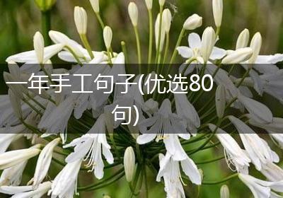 一年手工句子(优选80句)