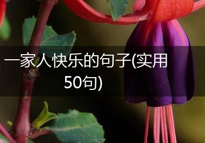 一家人快乐的句子(实用50句)